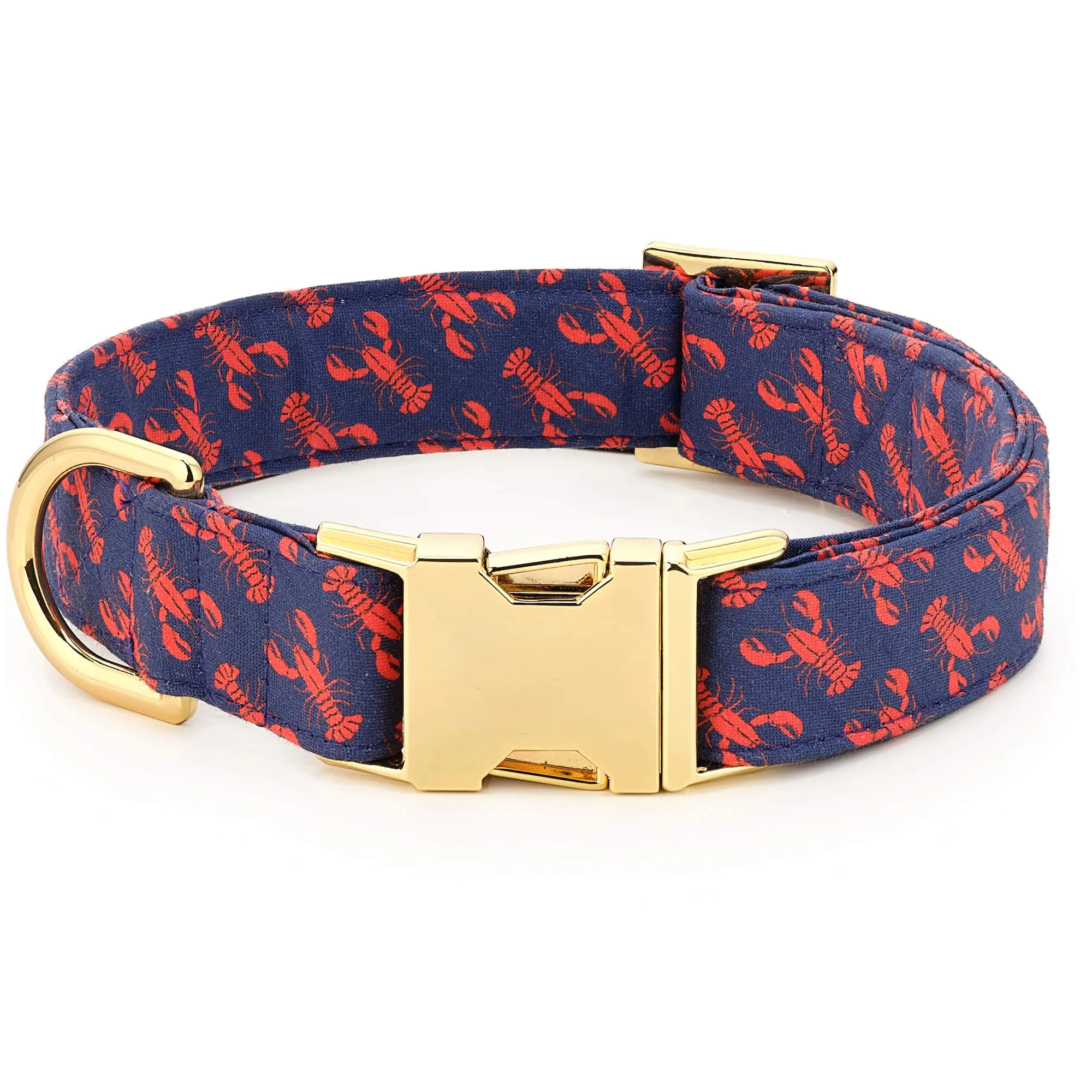 Catch of the Day Collar Walk Set