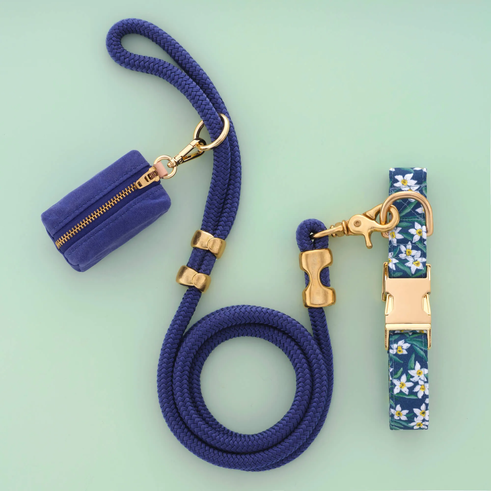 Daffodils Collar Walk Set