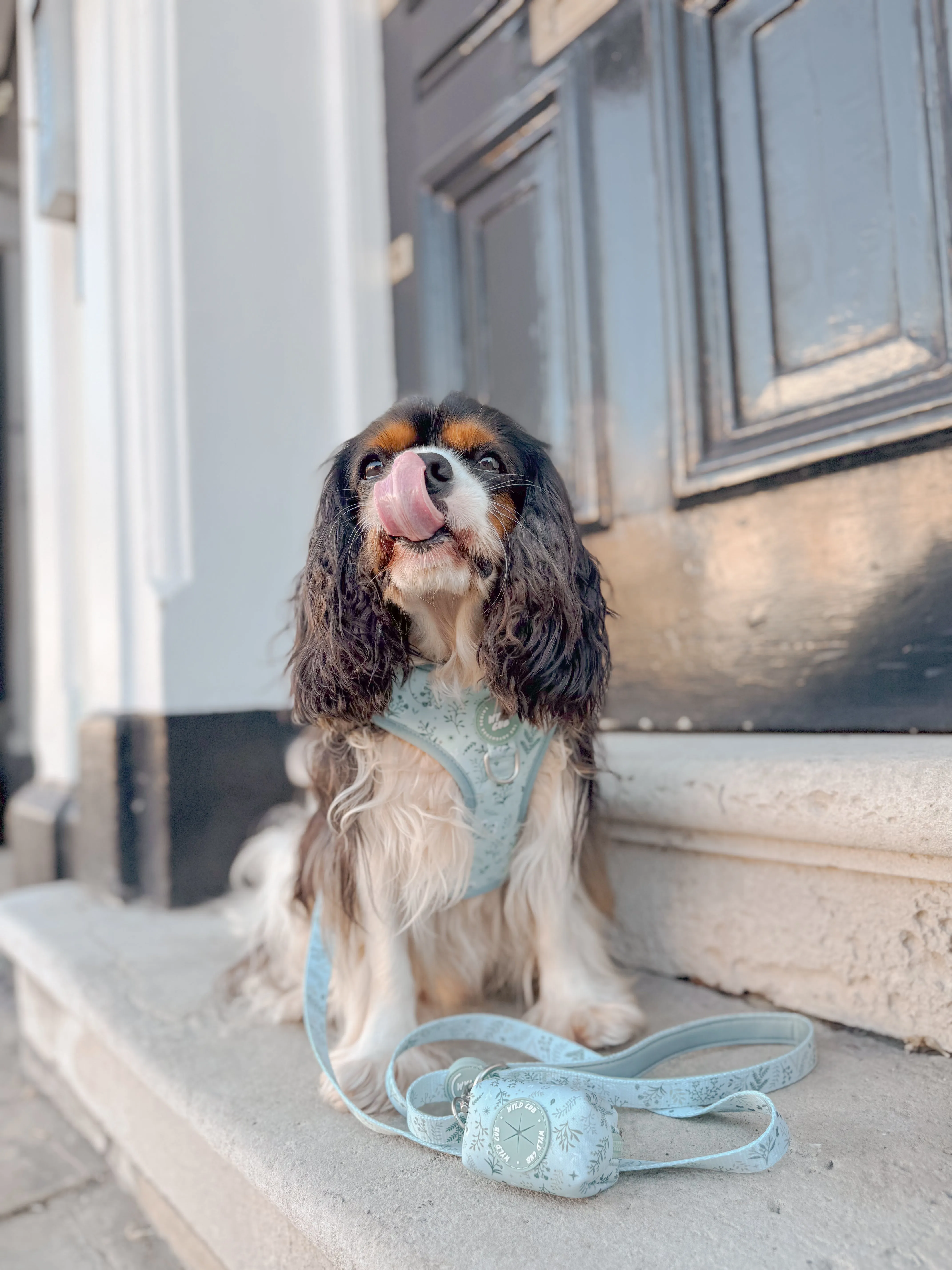 Dog Poop Bag Holder: Chiswick Pistachio