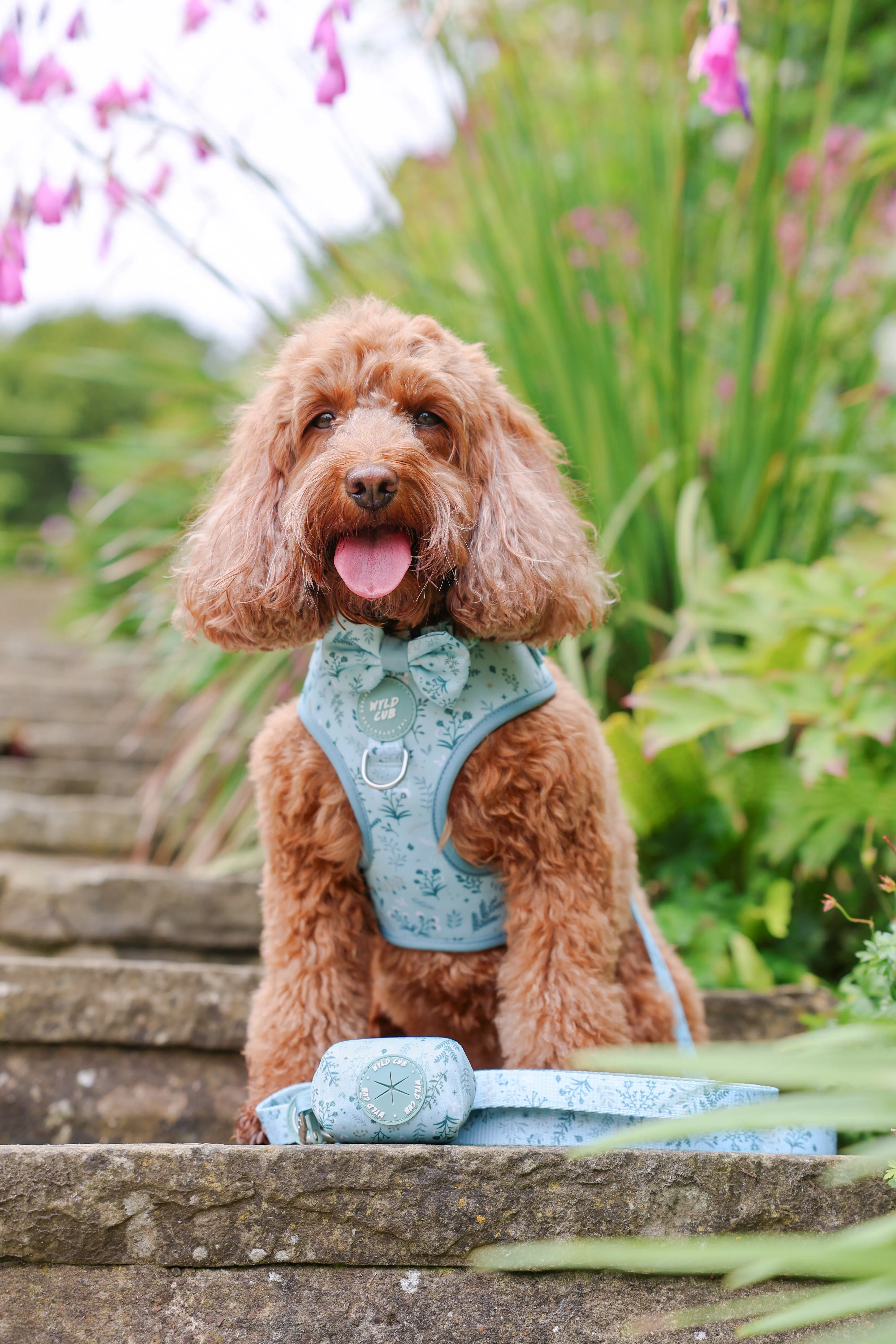 Dog Poop Bag Holder: Chiswick Pistachio