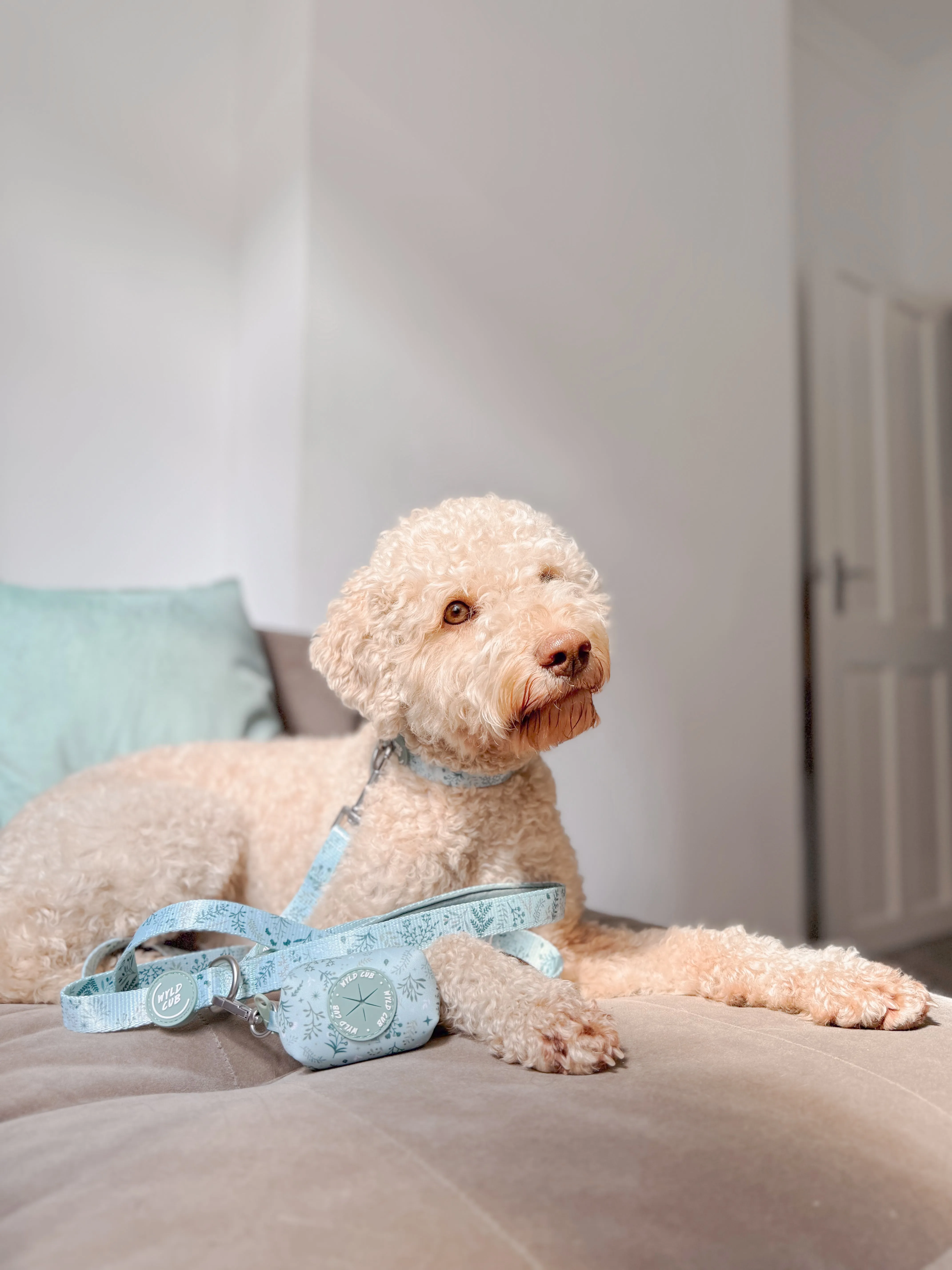 Dog Poop Bag Holder: Chiswick Pistachio
