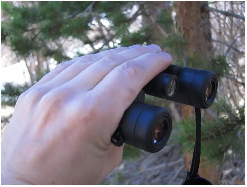 Leica 10x25 Ultravid BCR - Armored Binoculars