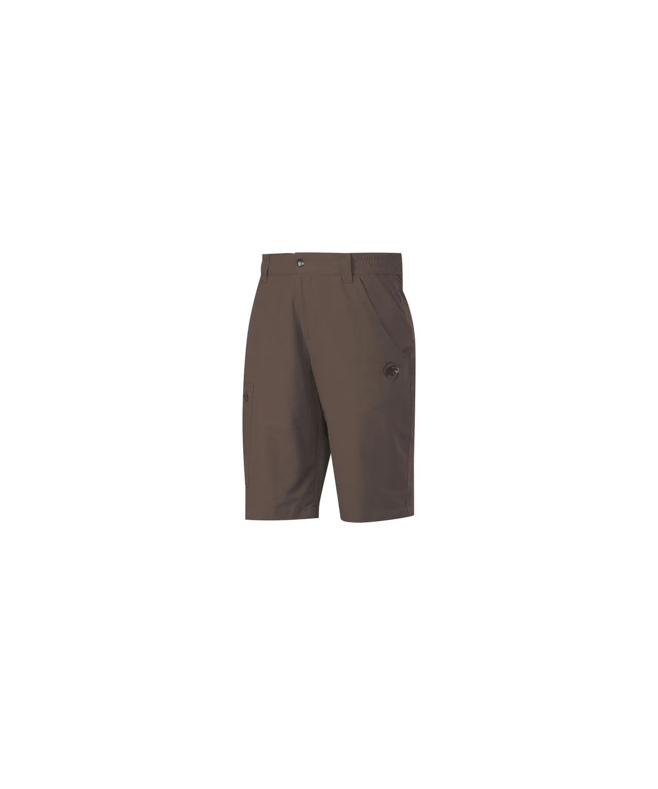 Mammut Mens Hiking Shorts 10 Inch