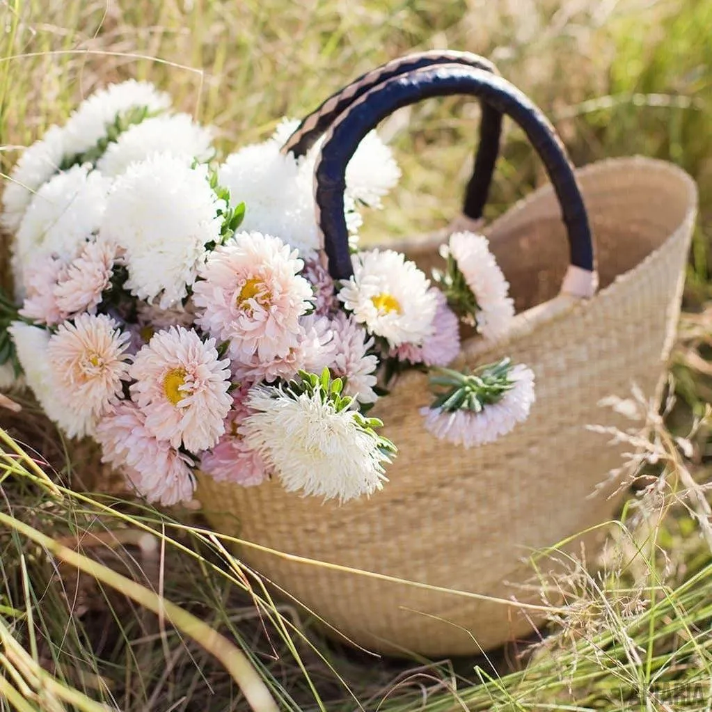 Natural Winged Market Tote with Braided, Black Leather Handles