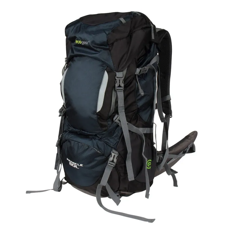 Pinnacle 80L Hiking Backpack