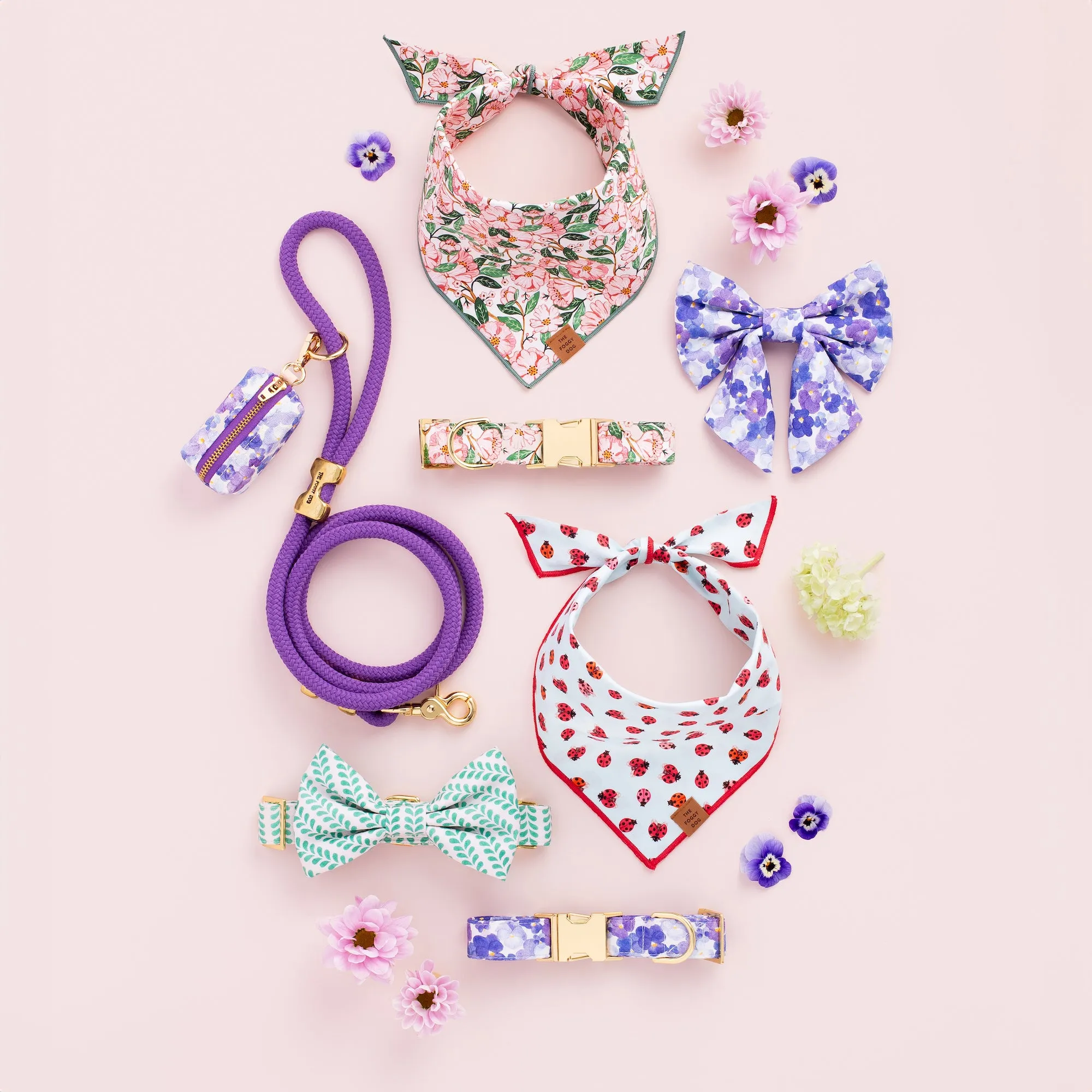 Pressed Pansies Collar Walk Set