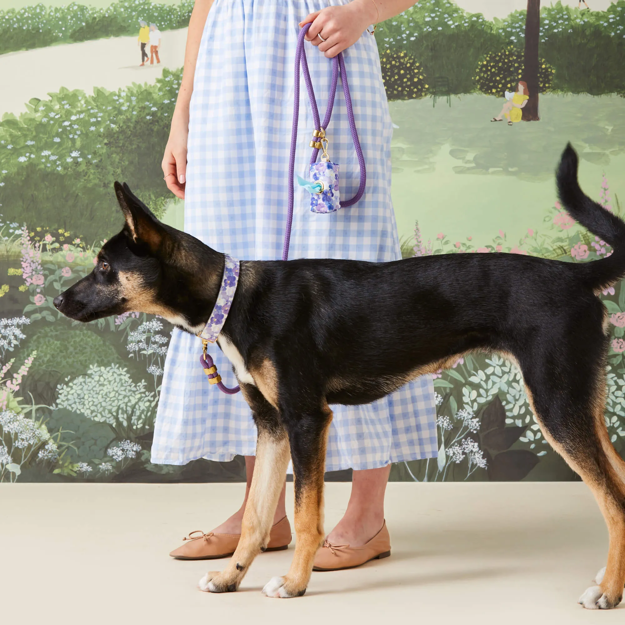 Pressed Pansies Collar Walk Set