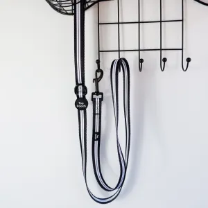 Retro Stripe Dog Lead