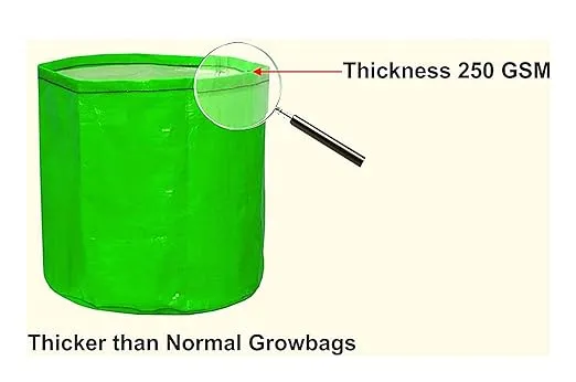 Spanker Grow Bags 250 GSM (18x18) Inch with Drain Holes for Terrace Gardening - Strong & Durable - Pack of 6 SSTP