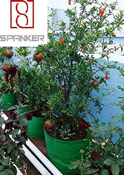 Spanker Grow Bags 250 GSM (18x18) Inch with Drain Holes for Terrace Gardening - Strong & Durable - Pack of 6 SSTP