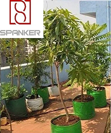 Spanker Grow Bags 250 GSM (18x18) Inch with Drain Holes for Terrace Gardening - Strong & Durable - Pack of 6 SSTP